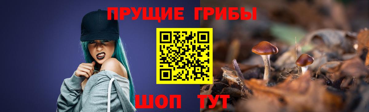 Галлюциногенные грибы мухоморы  Галлюциногенные грибы MAGIC MUSHROOMS  Кимры  Вход с VPN 
